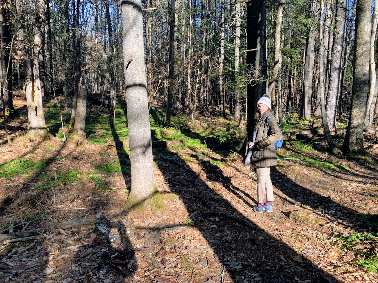 Shadow and Fern Shadow and Fern