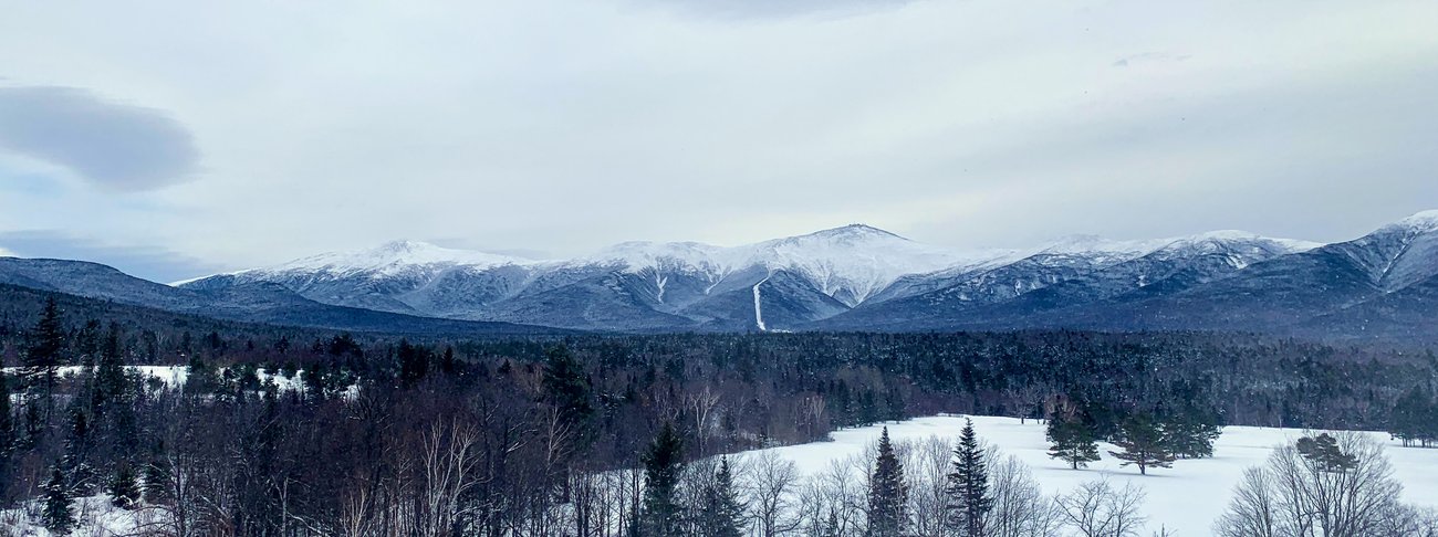 Mt Washington