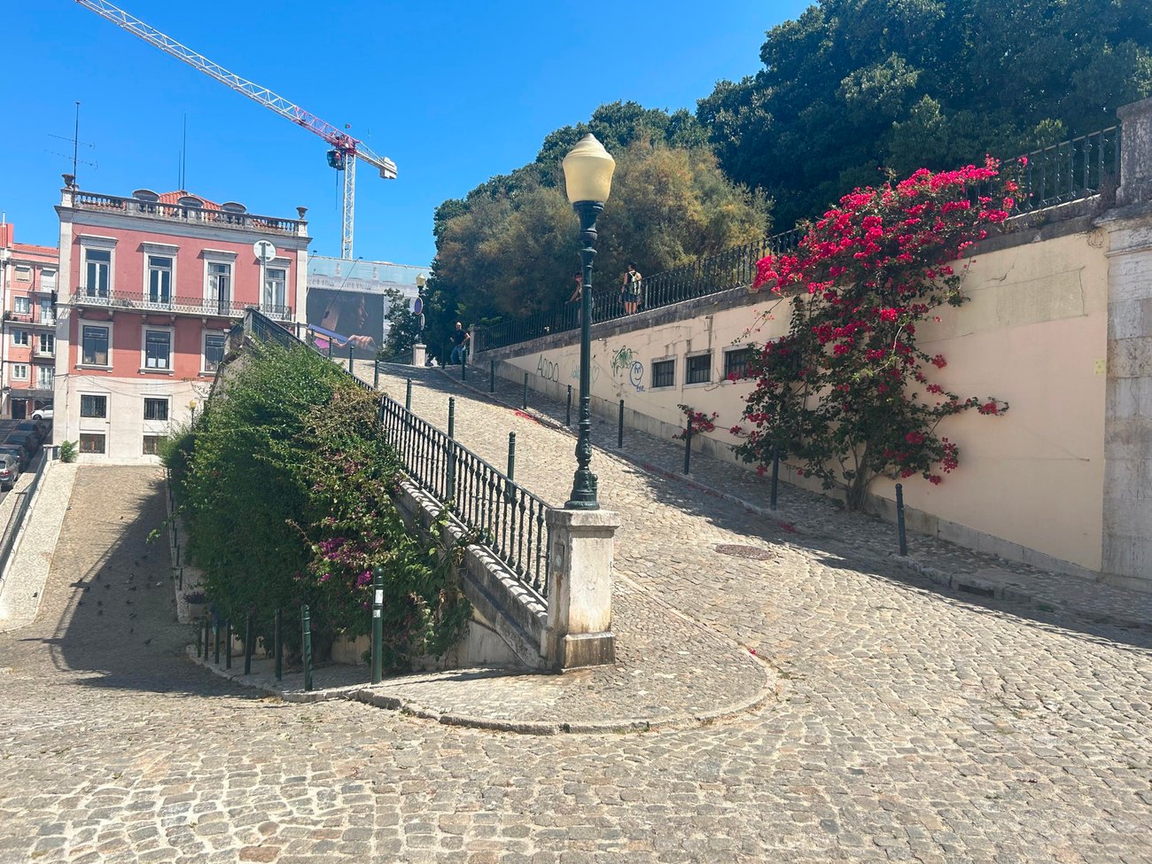 Park Entrance Park Entrance