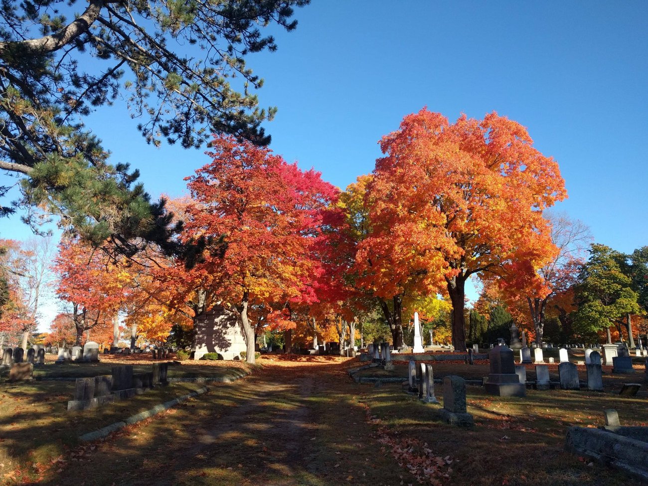 Evergreen Cemetery, Portland Maine