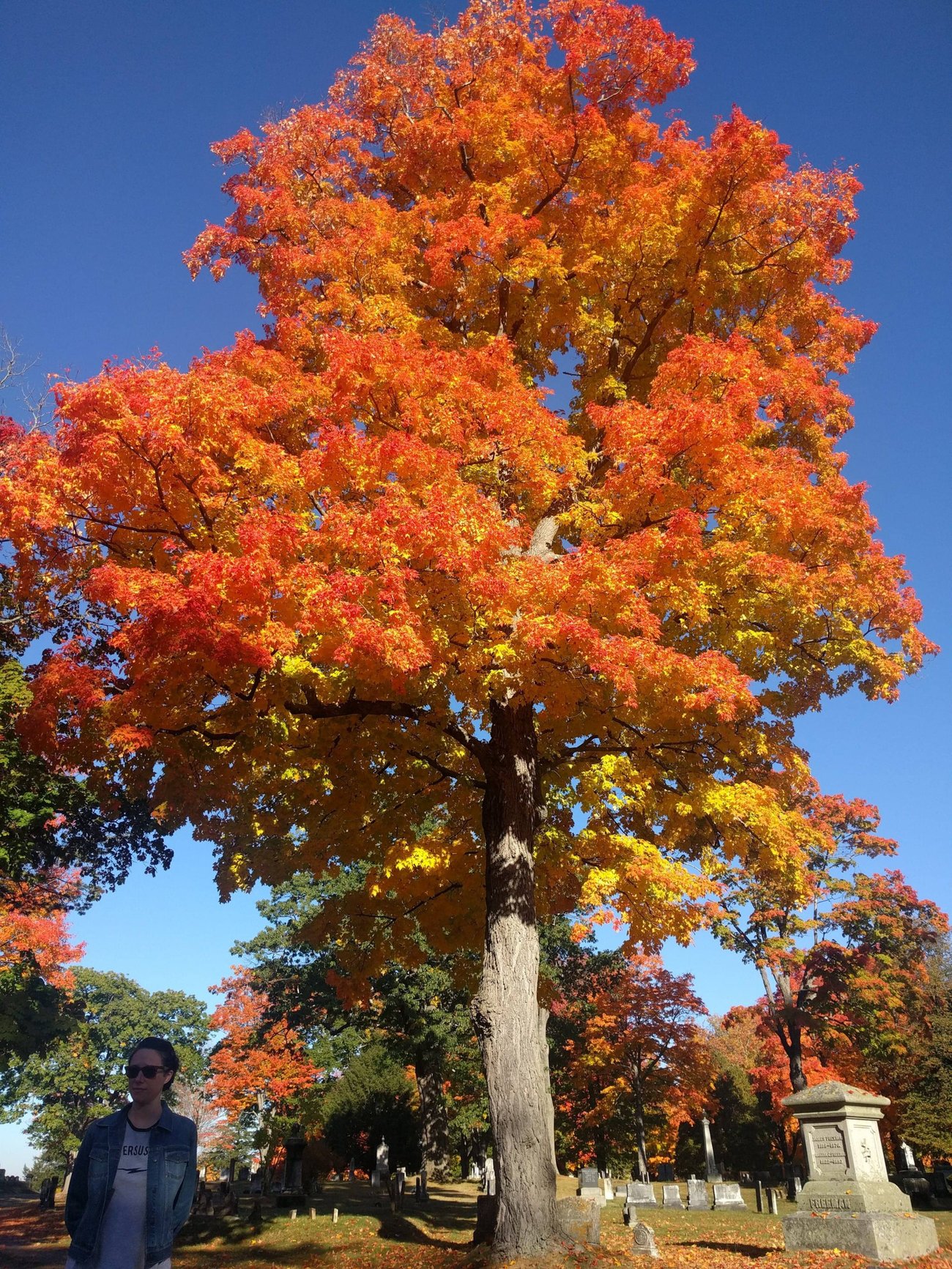 Evergreen Cemetery, Portland Maine