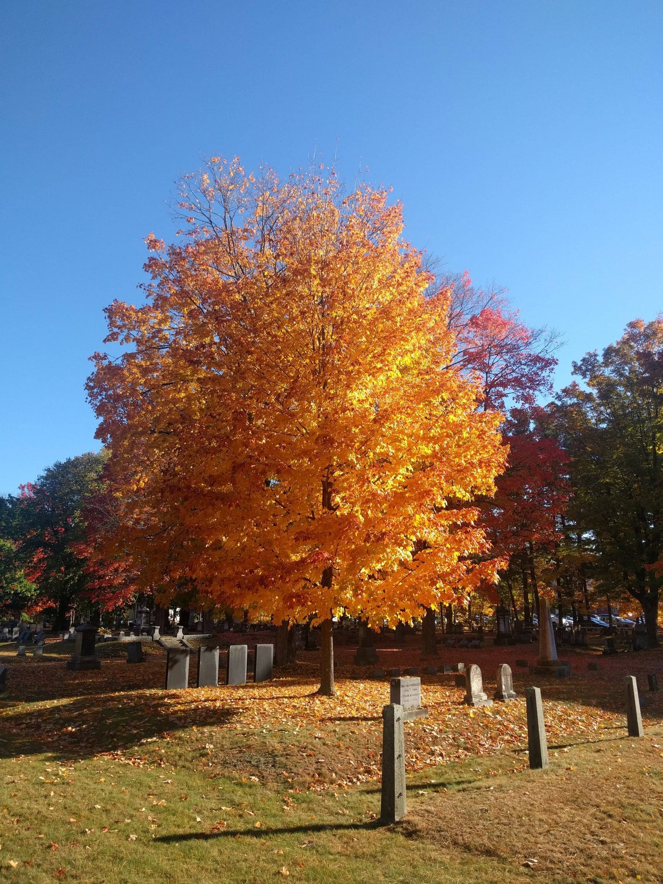 Evergreen Cemetery, Portland Maine