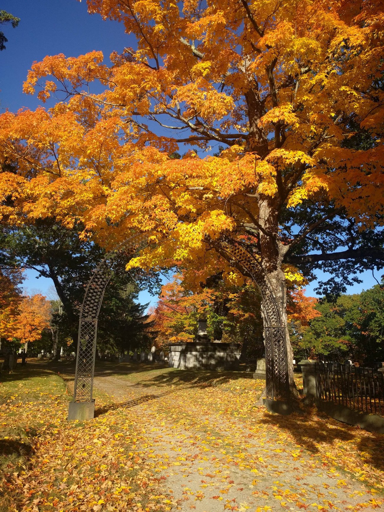 Evergreen Cemetery, Portland Maine