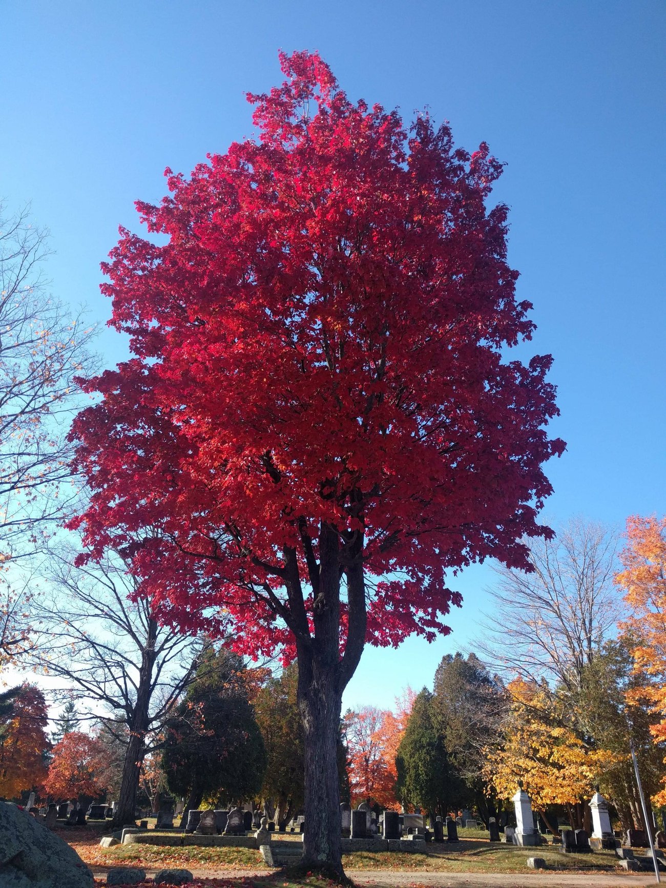 Evergreen Cemetery, Portland Maine