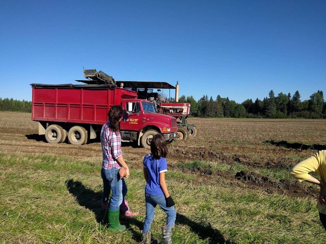 Potato Harvester Field Profile