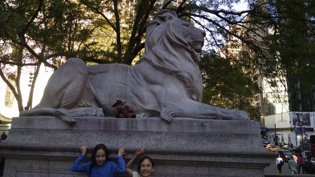 library lion